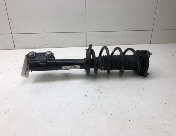 Suspension Strut KIA SPORTAGE (QL, QLE)