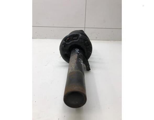 Suspension Strut SKODA Yeti (5L)