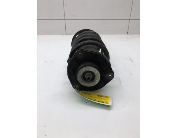 Suspension Strut SKODA YETI (5L)