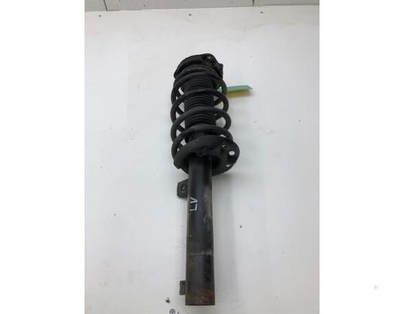 Suspension Strut SKODA YETI (5L)