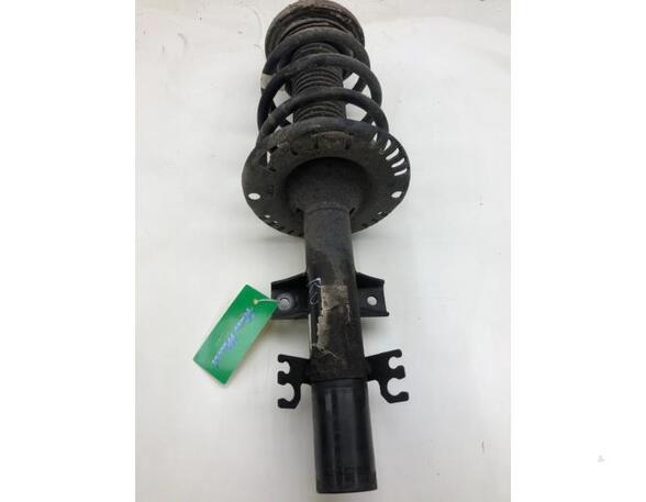 Suspension Strut VW TRANSPORTER VI Van (SGA, SGH, SHA, SHH), VW TRANSPORTER V Van (7HA, 7HH, 7EA, 7EH)