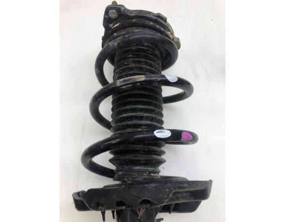 Suspension Strut KIA CEED (CD), KIA PROCEED (CD), KIA XCEED (CD)