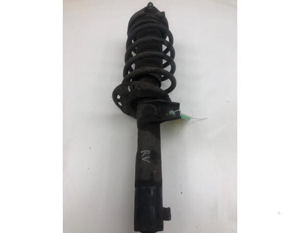 Suspension Strut VW CADDY III MPV (2KB, 2KJ, 2CB, 2CJ)