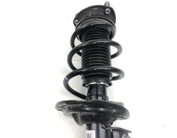 Suspension Strut SKODA OCTAVIA IV Combi (NX5)