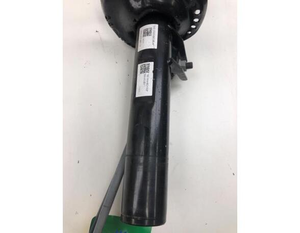 Suspension Strut SKODA OCTAVIA IV Combi (NX5)