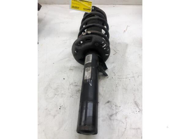 Suspension Strut VW CADDY IV MPV (SAB, SAJ)