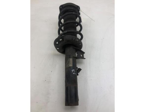 Suspension Strut AUDI A3 (8P1), AUDI A3 Sportback (8PA)