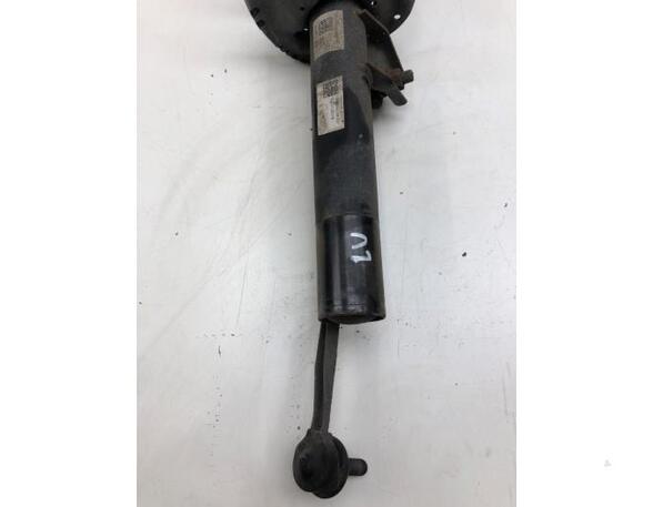 Suspension Strut SKODA OCTAVIA III Combi (5E5, 5E6), SKODA OCTAVIA IV Combi (NX5)