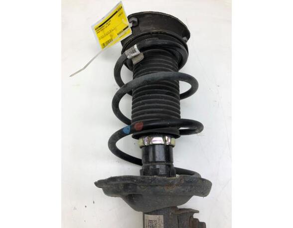 Suspension Strut SKODA OCTAVIA III Combi (5E5, 5E6), SKODA OCTAVIA IV Combi (NX5)