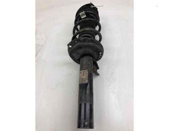 Suspension Strut VW PASSAT B8 Variant (3G5, CB5), VW PASSAT ALLTRACK B8 Variant (3G5, CB5)