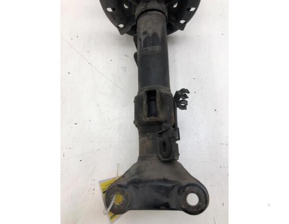 Suspension Strut MERCEDES-BENZ C-CLASS (W203)