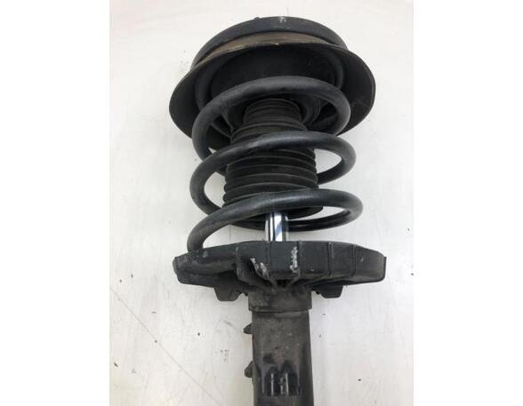 Suspension Strut MERCEDES-BENZ C-CLASS (W203)