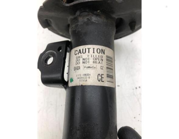 Suspension Strut FORD PUMA (J2K, CF7)