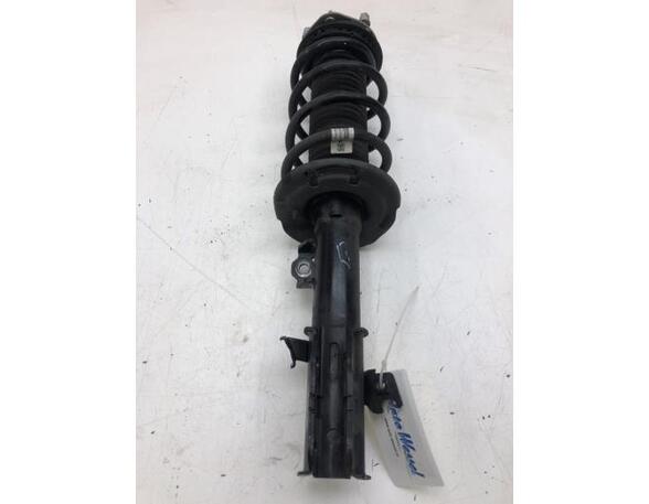 Suspension Strut FORD PUMA (J2K, CF7)