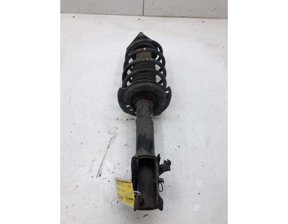 Suspension Strut MERCEDES-BENZ B-CLASS (W245)