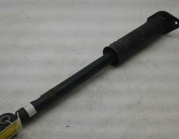 Shock Absorber NISSAN MICRA V (K14)