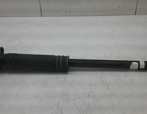 Shock Absorber NISSAN MICRA V (K14)