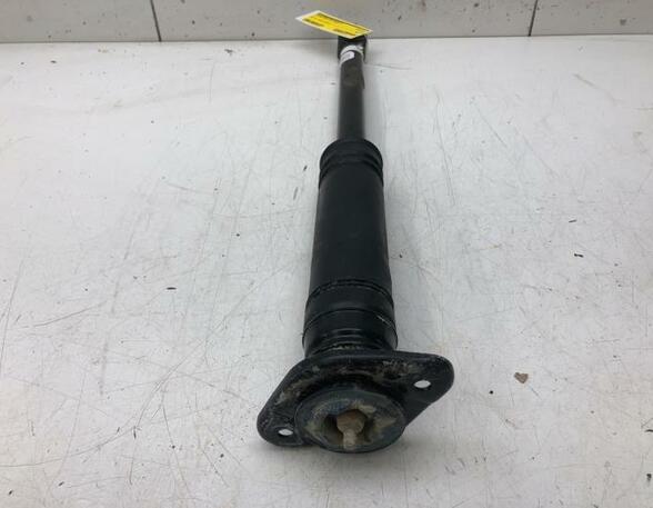 Shock Absorber NISSAN MICRA V (K14)