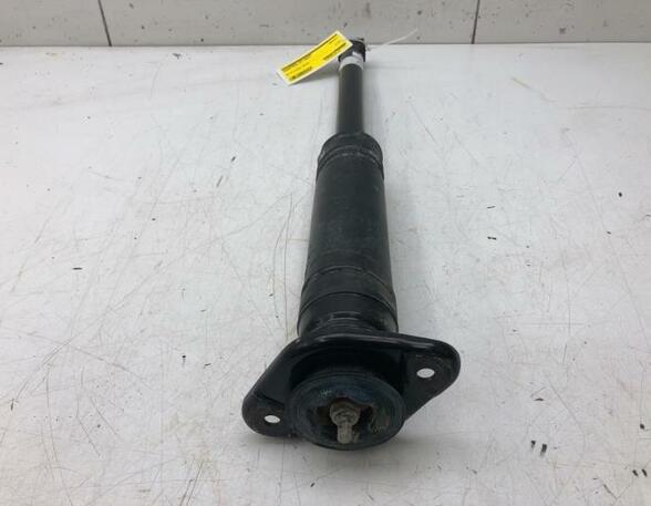 Shock Absorber NISSAN MICRA V (K14)