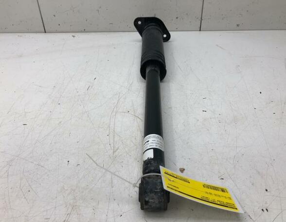 Shock Absorber NISSAN MICRA V (K14)