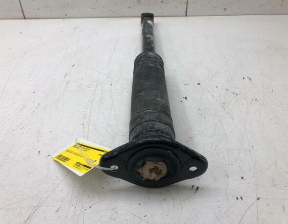 Shock Absorber NISSAN MICRA V (K14)