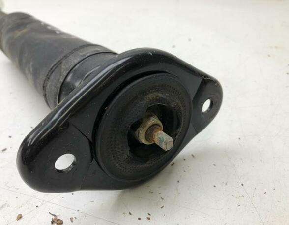 Shock Absorber NISSAN MICRA V (K14)