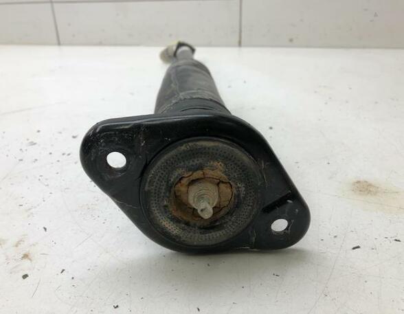 Shock Absorber NISSAN MICRA V (K14)