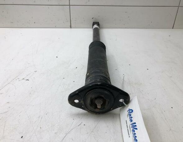 Shock Absorber NISSAN MICRA V (K14)