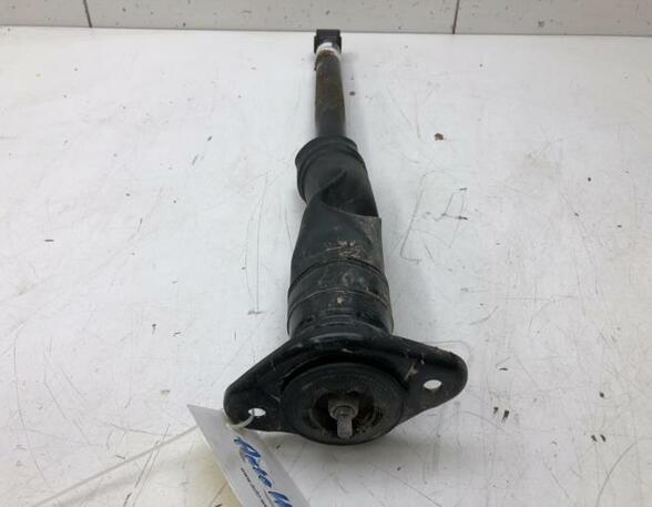 Shock Absorber NISSAN MICRA V (K14)