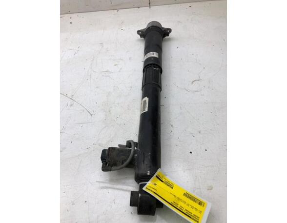 Shock Absorber SKODA SUPERB III Estate (3V5), SKODA SUPERB II Estate (3T5)