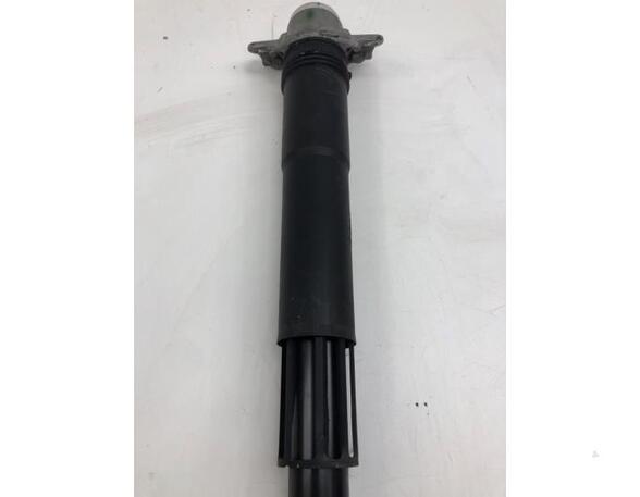 Shock Absorber VW T-CROSS (C11_)