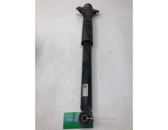 Shock Absorber AUDI Q3 (8UB, 8UG), AUDI Q3 (F3B)