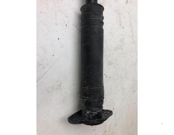 Shock Absorber NISSAN MICRA V (K14)