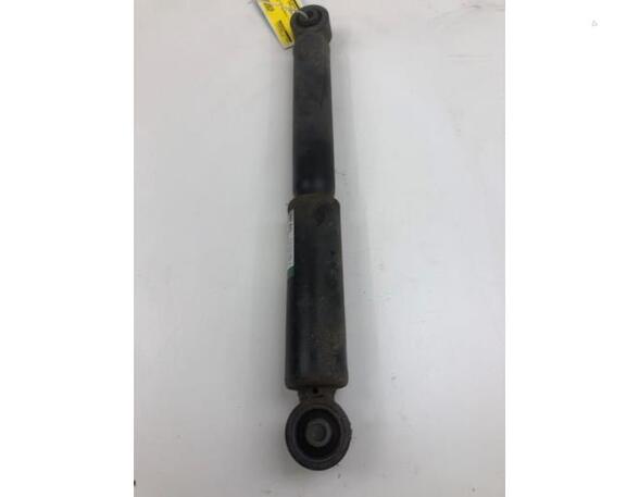 Shock Absorber VW TRANSPORTER V Van (7HA, 7HH, 7EA, 7EH), VW TRANSPORTER VI Van (SGA, SGH, SHA, SHH)