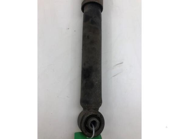 Shock Absorber VW TRANSPORTER V Van (7HA, 7HH, 7EA, 7EH), VW TRANSPORTER VI Van (SGA, SGH, SHA, SHH)