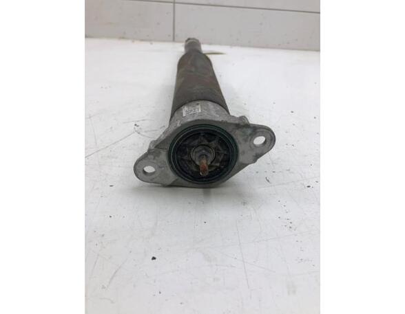 Shock Absorber FORD PUMA (J2K, CF7)