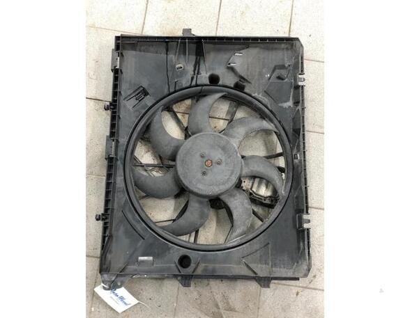 Interior Blower Motor BMW 1 (E81), BMW 1 (E87)