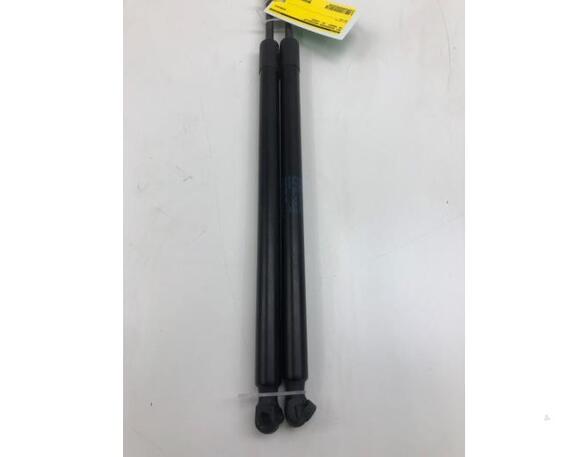 Bootlid (Tailgate) Gas Strut Spring VW TRANSPORTER VI Van (SGA, SGH, SHA, SHH), VW TRANSPORTER V Van (7HA, 7HH, 7EA, 7EH)