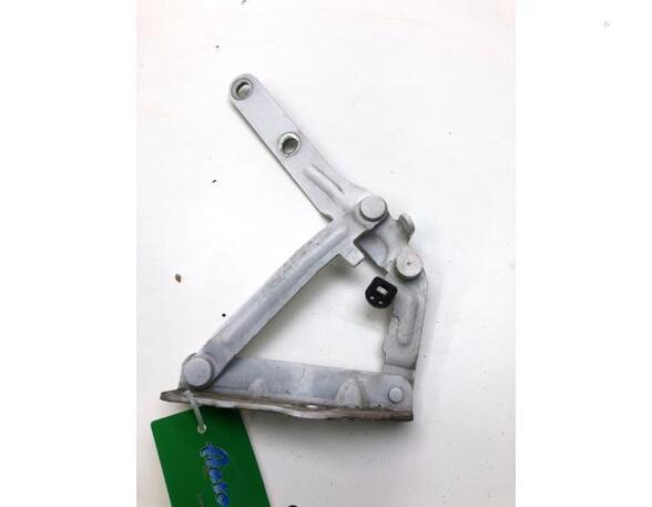 Bonnet Hinge VW TRANSPORTER VI Van (SGA, SGH, SHA, SHH), VW TRANSPORTER V Van (7HA, 7HH, 7EA, 7EH)