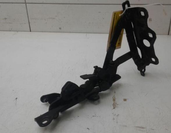 Bonnet Hinge MERCEDES-BENZ S-CLASS (W222, V222, X222), MERCEDES-BENZ S-CLASS (W221)