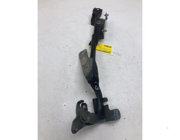 Bonnet Hinge RENAULT CAPTUR I (J5_, H5_), RENAULT CLIO IV (BH_)