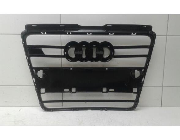 Radiator Grille AUDI A6 (4F2, C6)