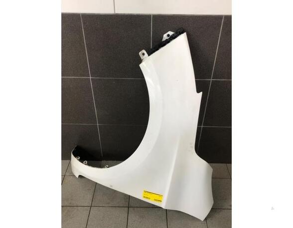 Spatbord HYUNDAI i20 (PB, PBT)