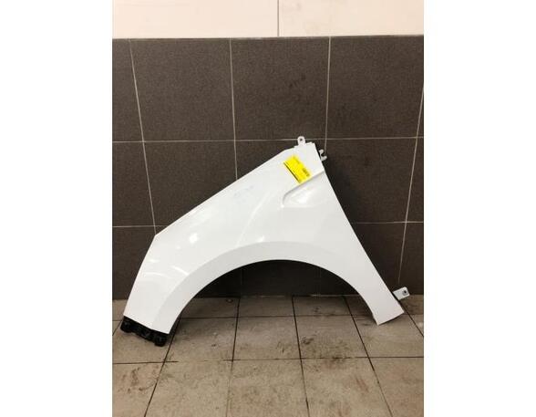 Spatbord RENAULT CLIO V (B7_)