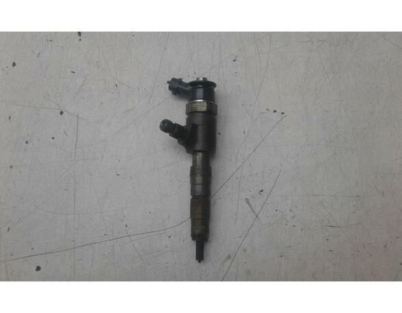 Injector Nozzle FORD FIESTA VI (CB1, CCN)