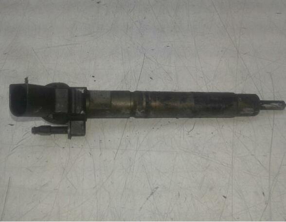 Injector Nozzle MERCEDES-BENZ R-CLASS (W251, V251)