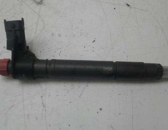 Injector Nozzle LAND ROVER RANGE ROVER EVOQUE (L538)