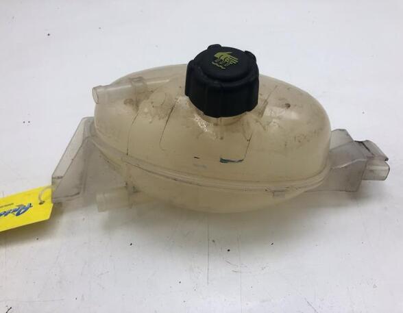 Coolant Expansion Tank RENAULT MASTER III Van (FV)