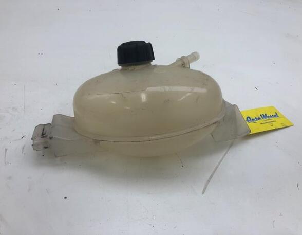 Coolant Expansion Tank RENAULT MASTER III Van (FV)