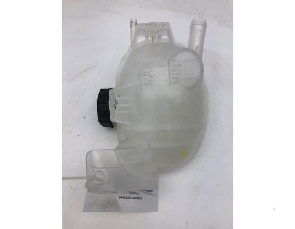 Coolant Expansion Tank FORD USA MUSTANG MACH-E (CGW)